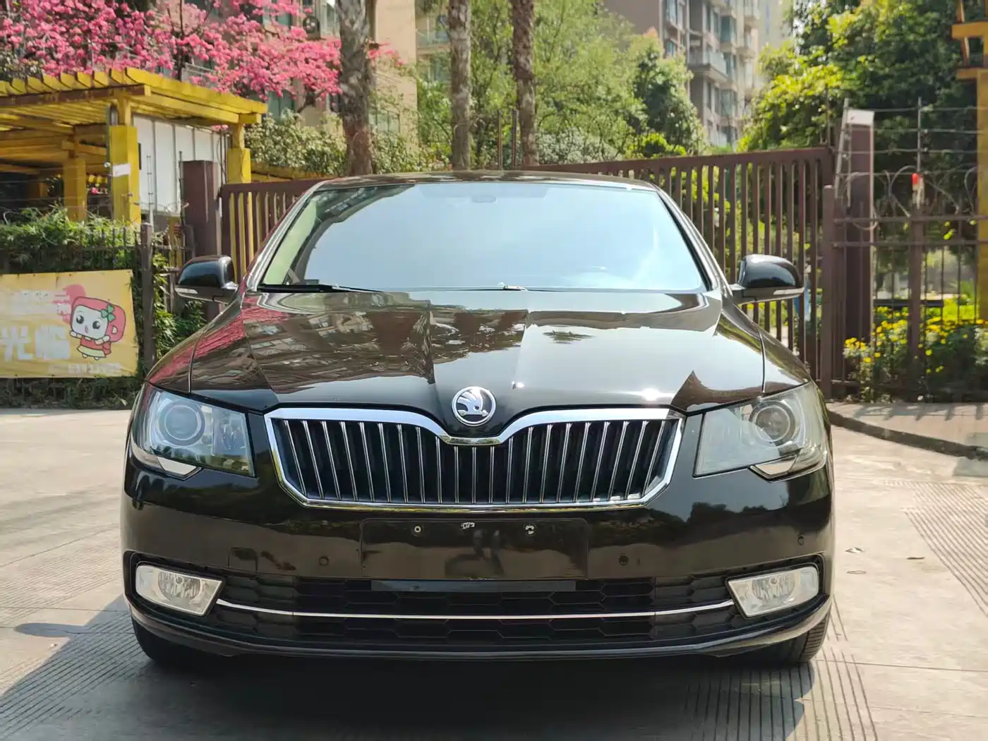 Škoda Superb 2013 2.0TSI DSG Executive Edition фото 2