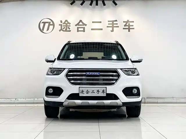 Haval H6 2018 Blue Label Sport 1.5T Automatic 2WD Elite — фото 4