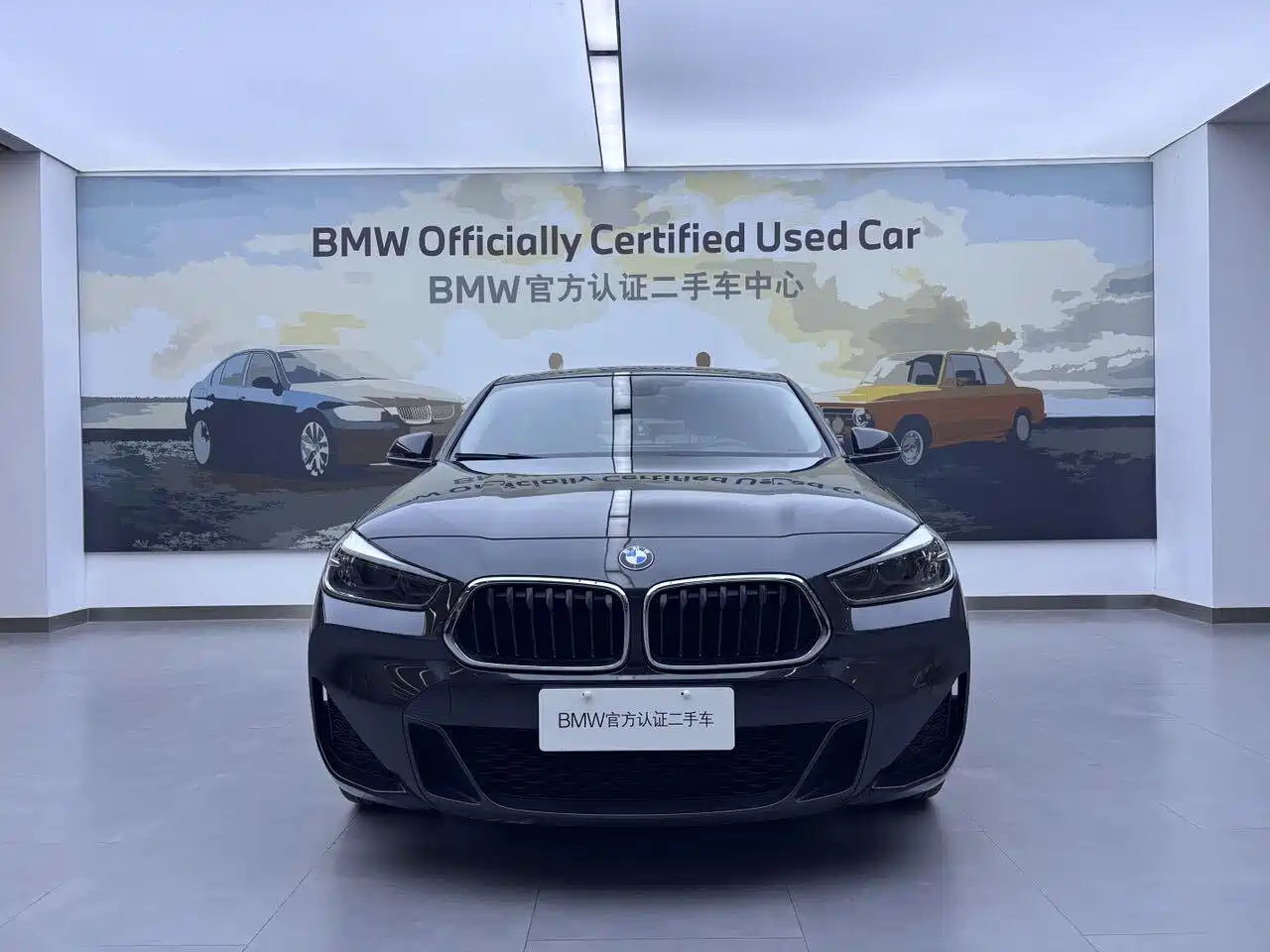 BMW X2 2021 sDrive25i Leading M Off-Road Package фото 3