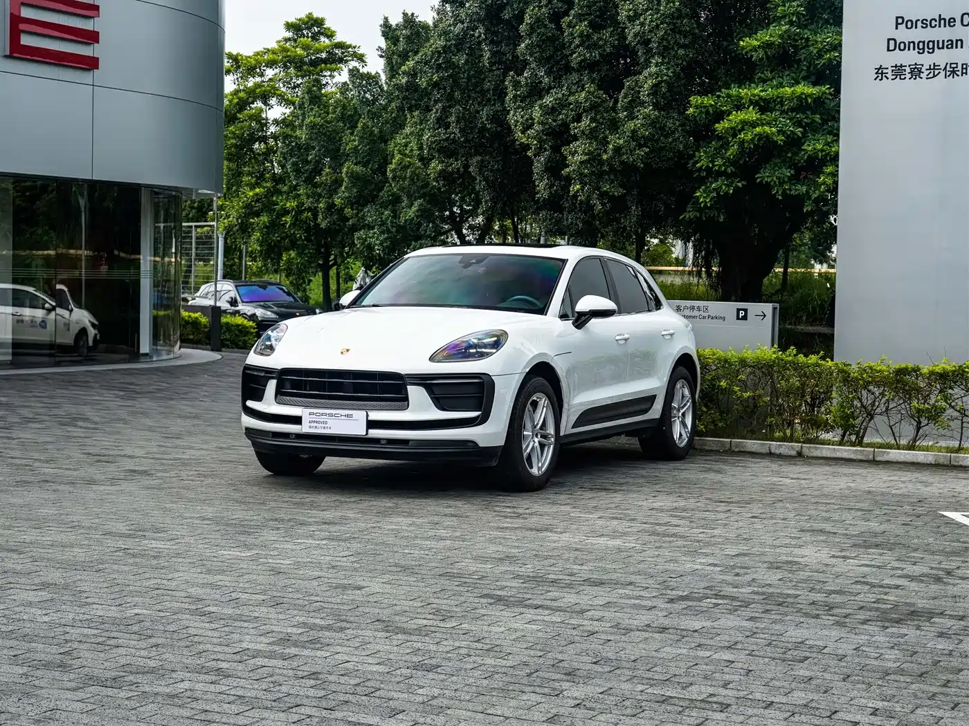 Porsche Macan 2025 2024 Macan 2.0T