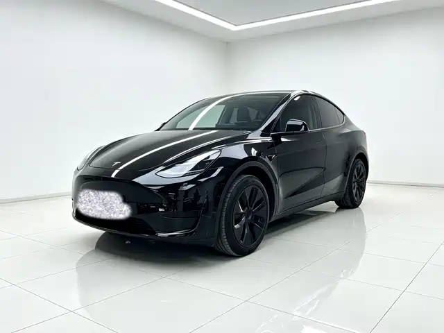 Tesla Model Y Задний привод
