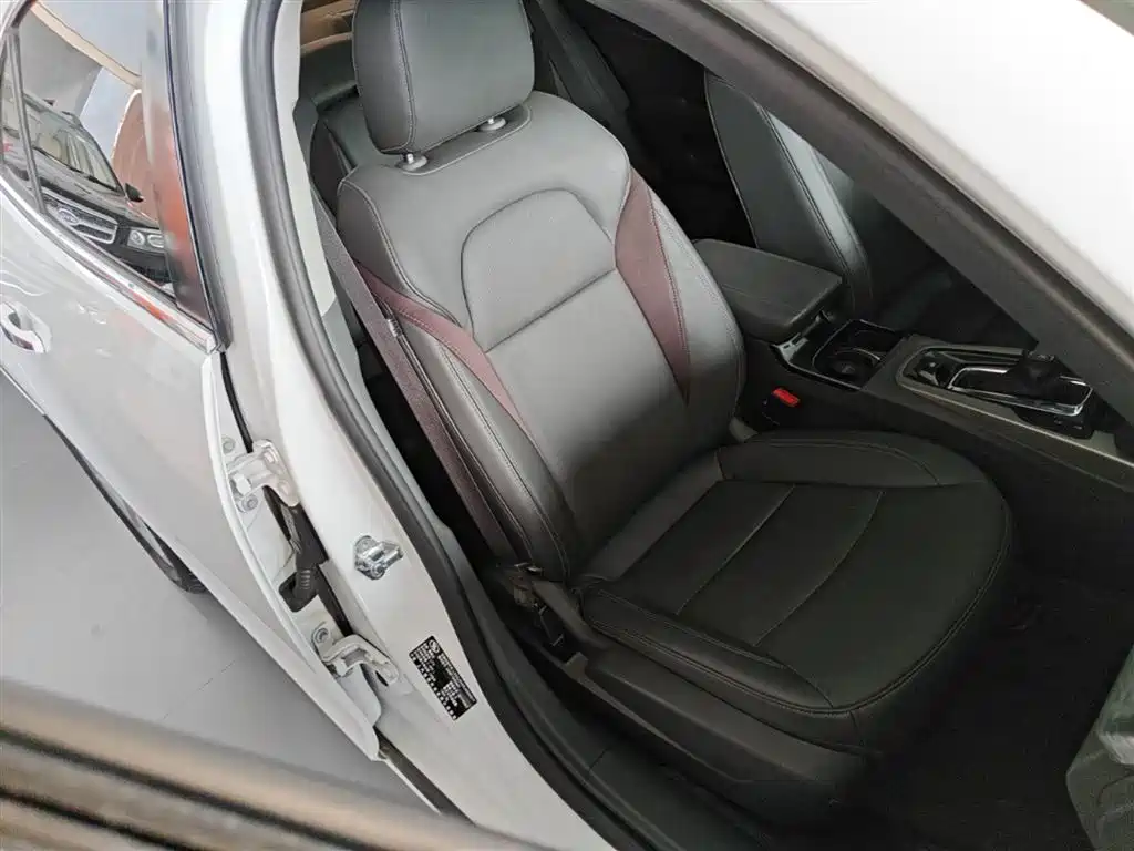 Chevrolet Malibu 2017 1.5T Automatic Luxury Edition фото 25