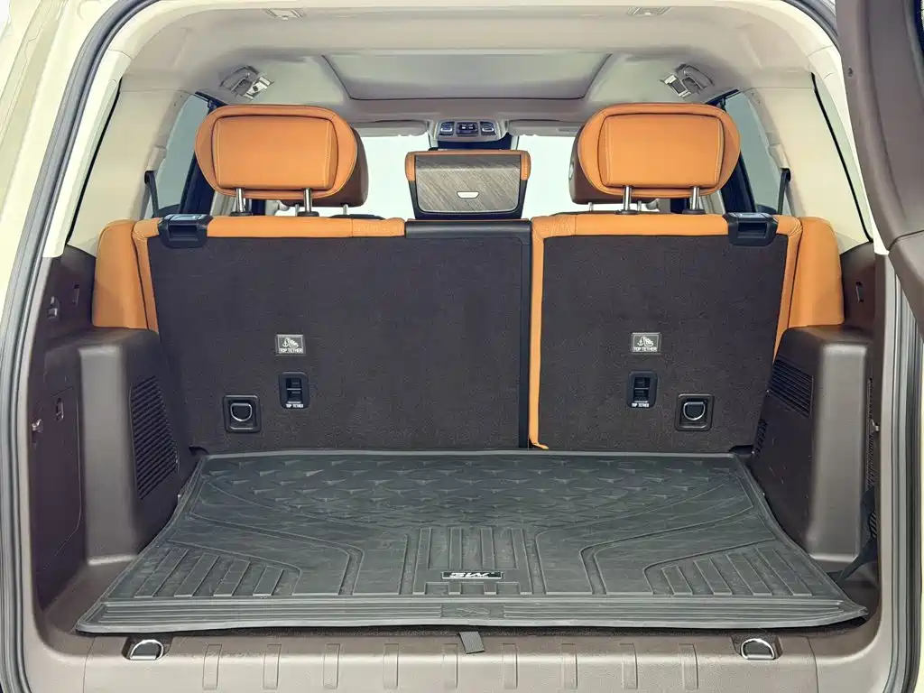 Tank 500 2023 2023 3.0T Business Edition (5-seater)