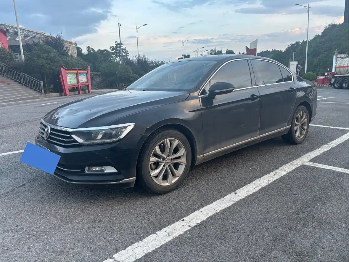 Volkswagen Magotan 2019 330TSI DSG Luxury Class China VI