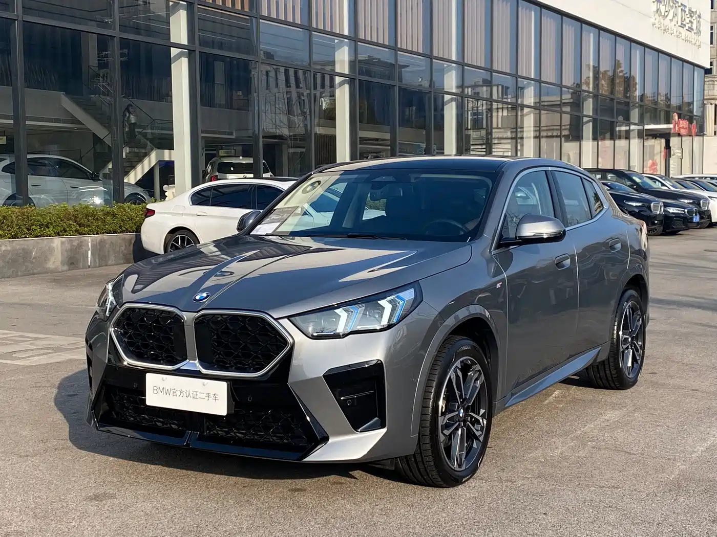 BMW X2 (Import) 2024 sDrive25i M Sport Package