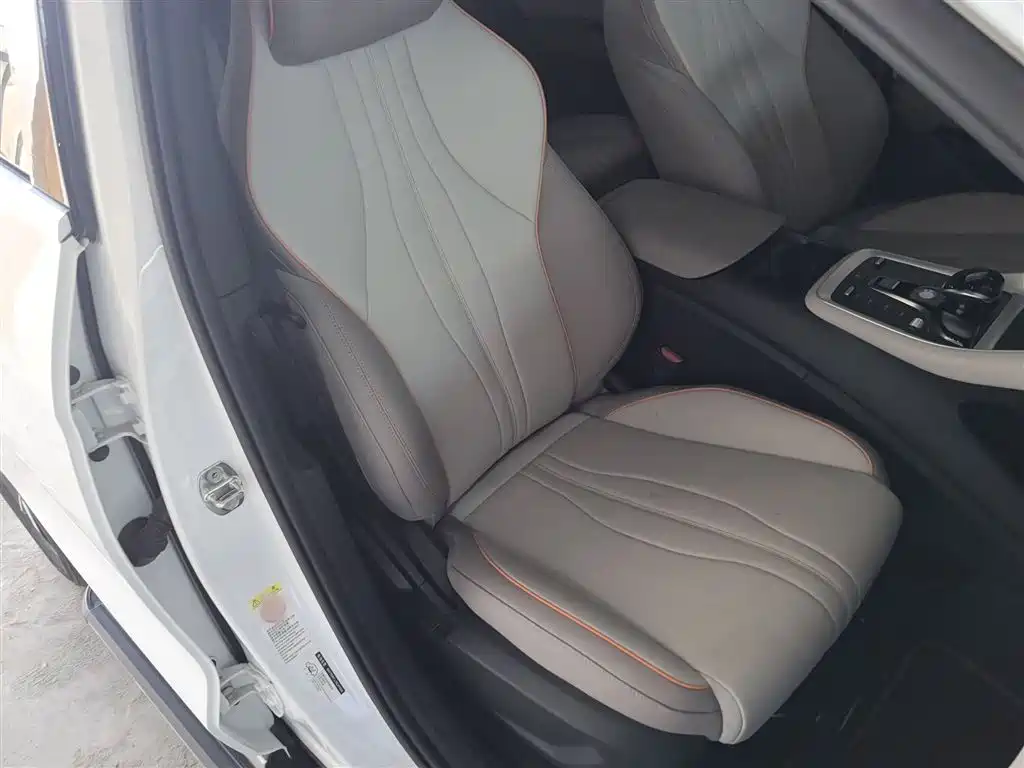 BYD Song Pro New Energy 2023 Champion Edition DM-i 71KM Pilot Model фото 19