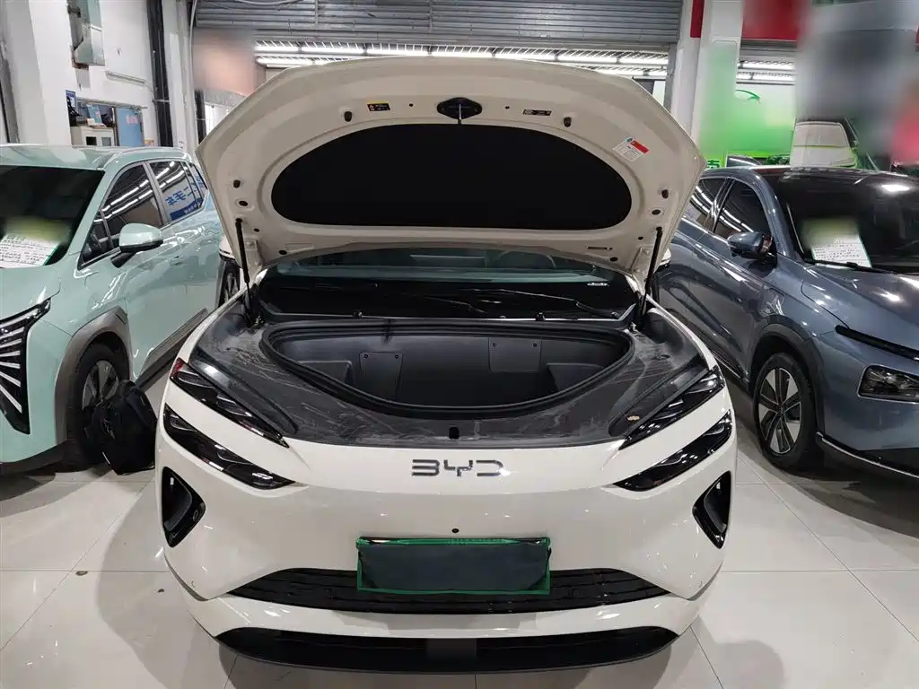 BYD Sealion 06 New Energy 2025 EV 605 Pilot Pro Edition фото 16