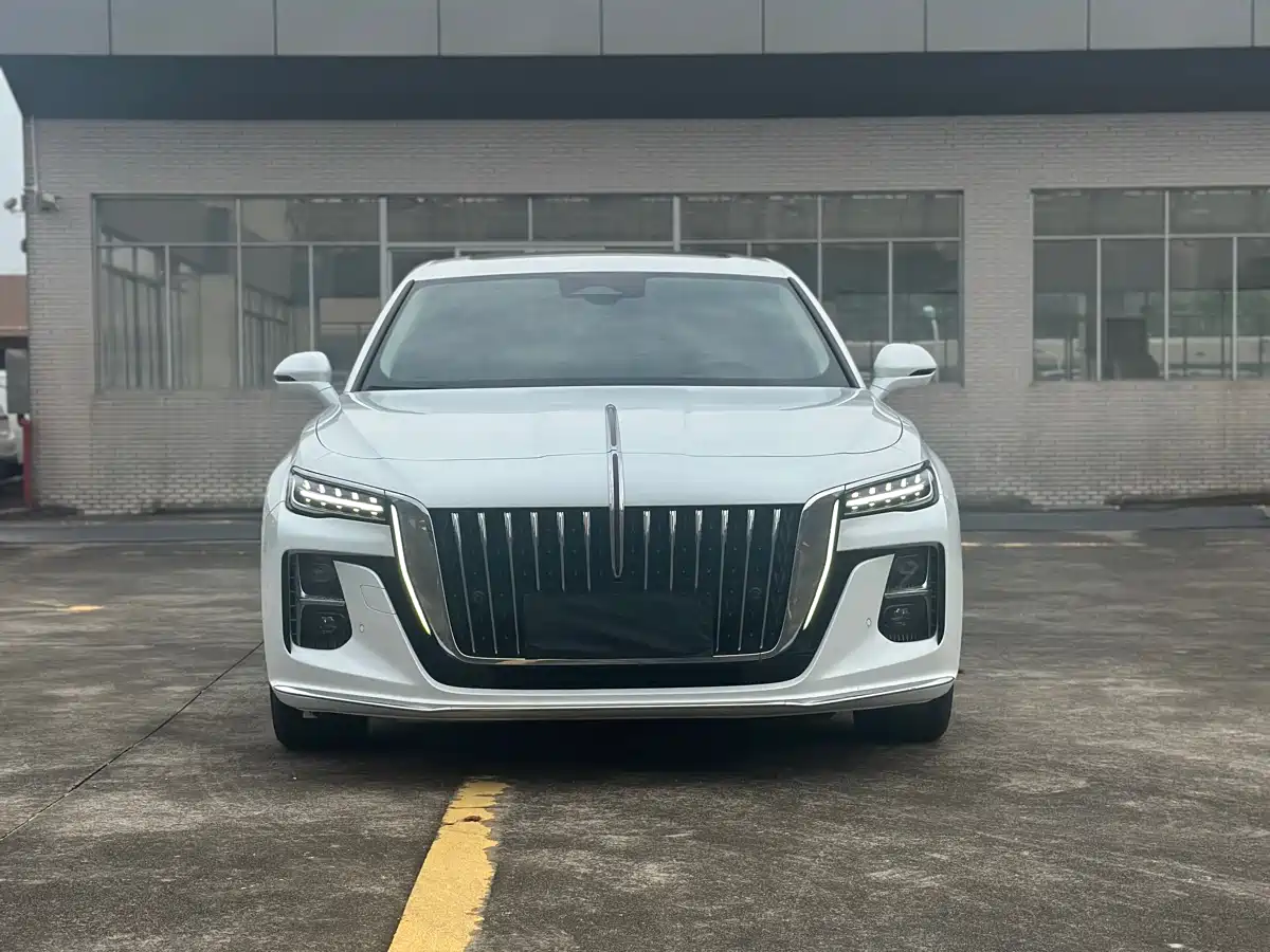 Hongqi H5 2023 2.0T Auto Smart Connect Flag Comfort фото 2