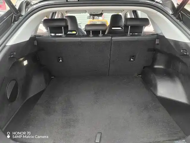 Changan Oshan Z6 2024 2023 Blue Whale 1.5T DCT Smart Leader