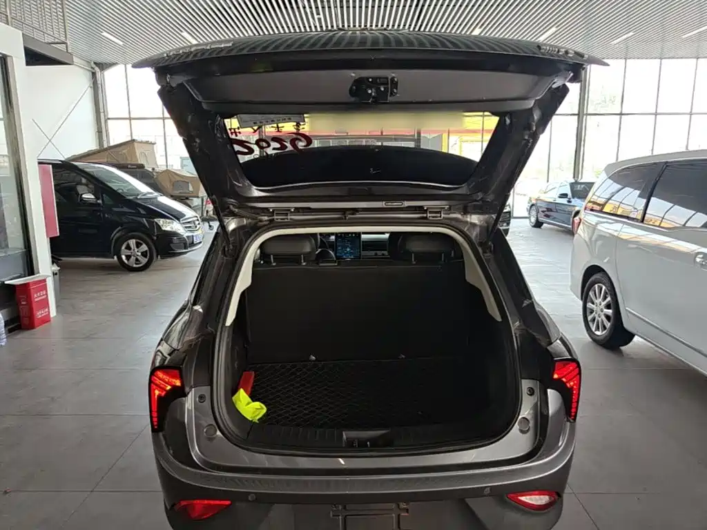 Nezha Auto Nezha V 2021 2022 Pro Long Range Smart Edition