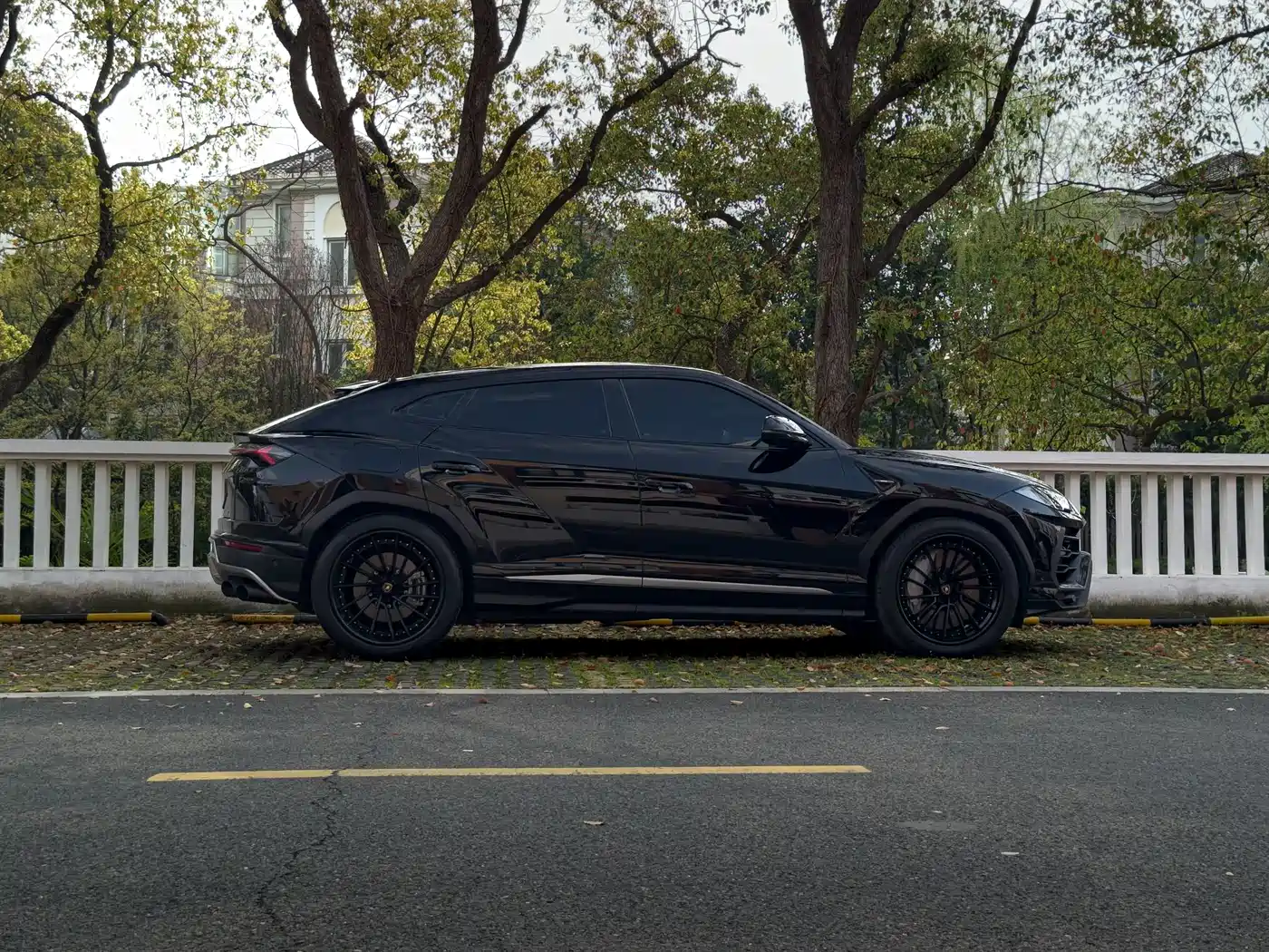 Lamborghini Urus 2018 4.0T V8 фото 6