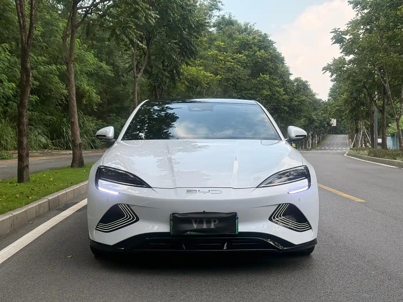 BYD Seal 2024 2023 Champion Edition 550km Elite