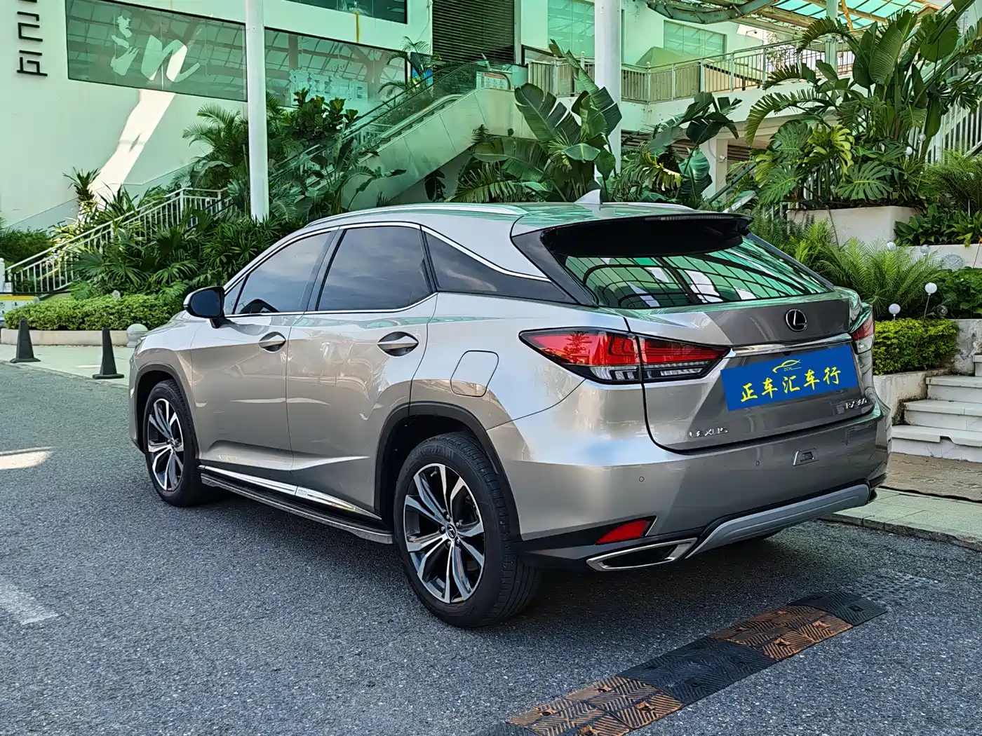 Lexus RX 2020 300 4WD Elegance Edition China VI фото 4