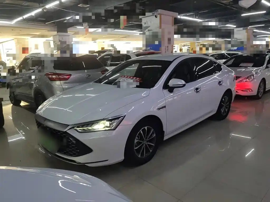 BYD Qin PLUS 2023 Champion Edition DM-i 55KM Leading