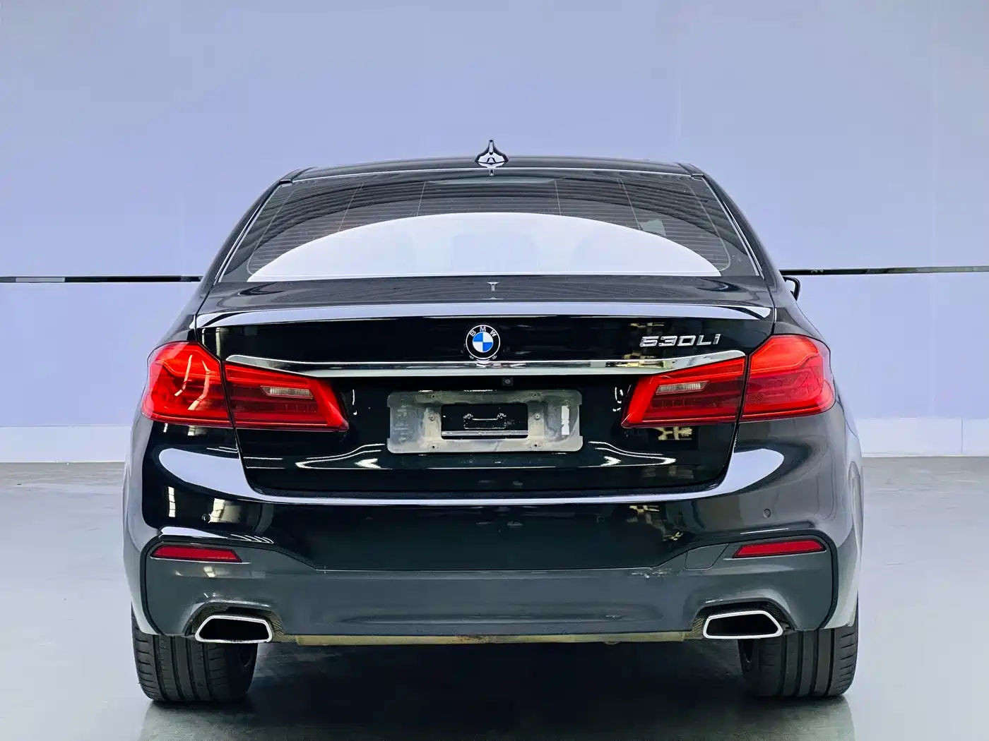 BMW 5 Series 2019 530Li Leading M Sport Package фото 5
