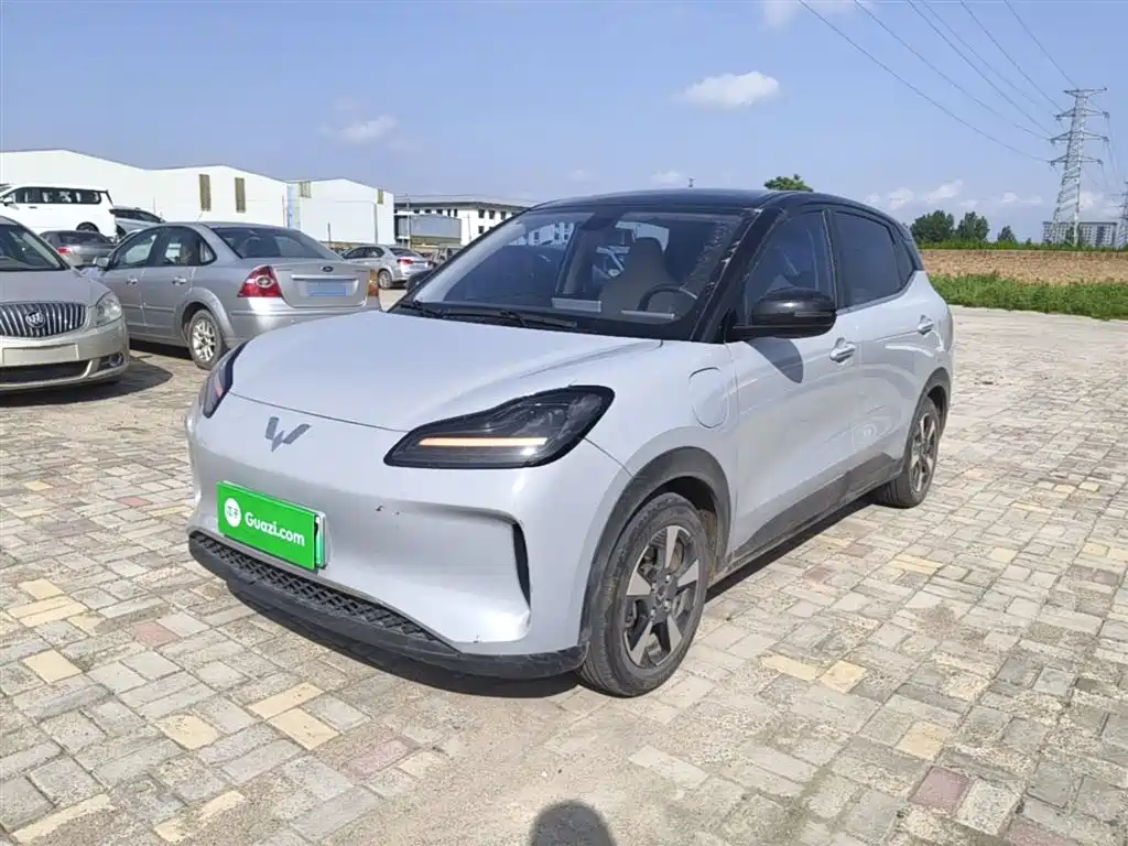 Wuling Motors Wuling Binguo PLUS 2024 Model 510km Flagship Edition 4-Seater
