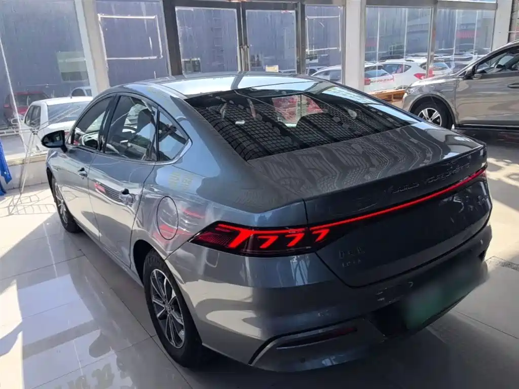 BYD Qin PLUS 2024 Glory Edition DM-i 55KM Leading фото 5