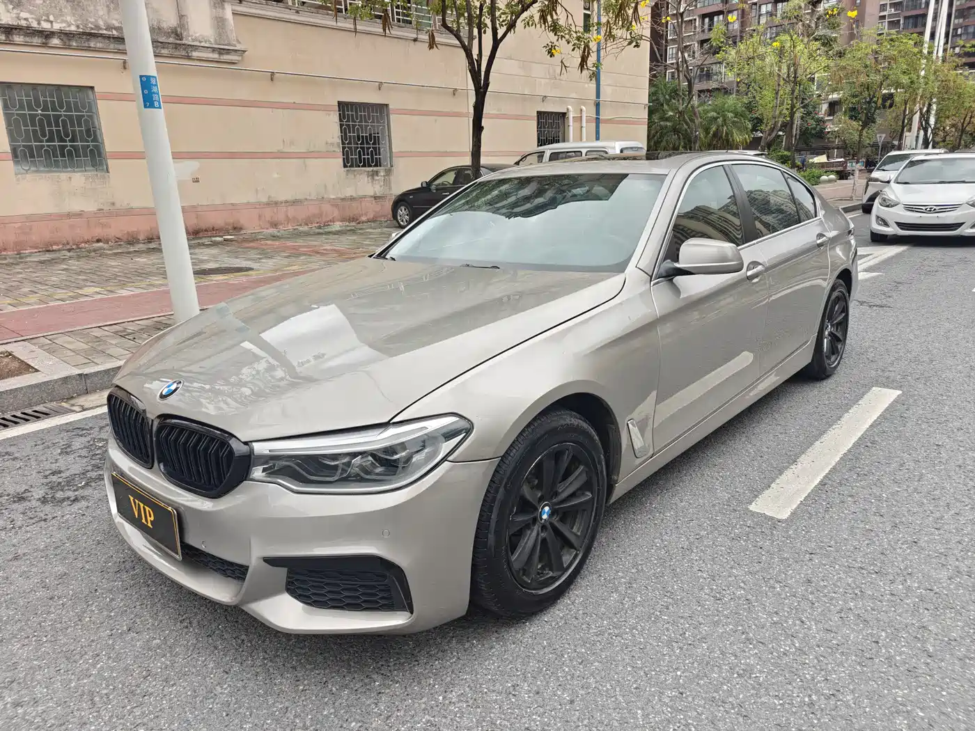 BMW 5 Series 2013 525Li Leadership