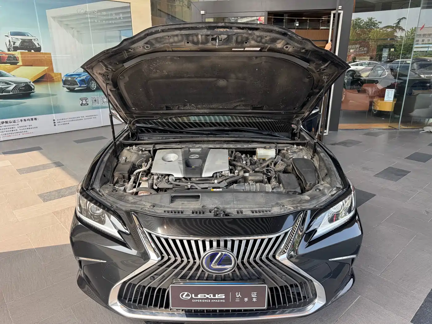Lexus ES 2020 Model 300h Excellence Edition China V фото 6