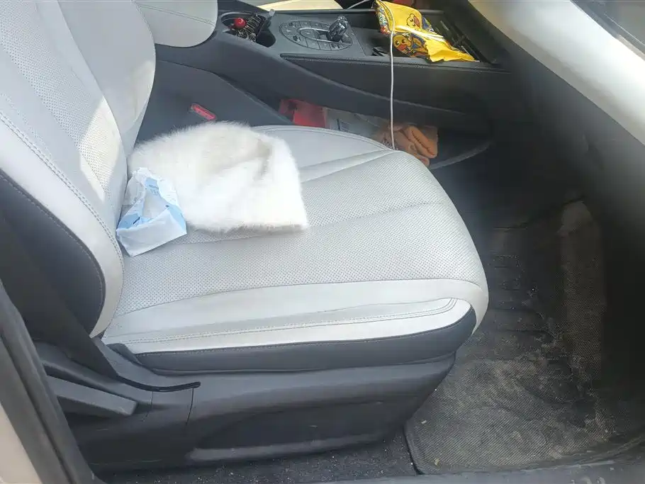 BYD SEAL 06 NEW ENERGY