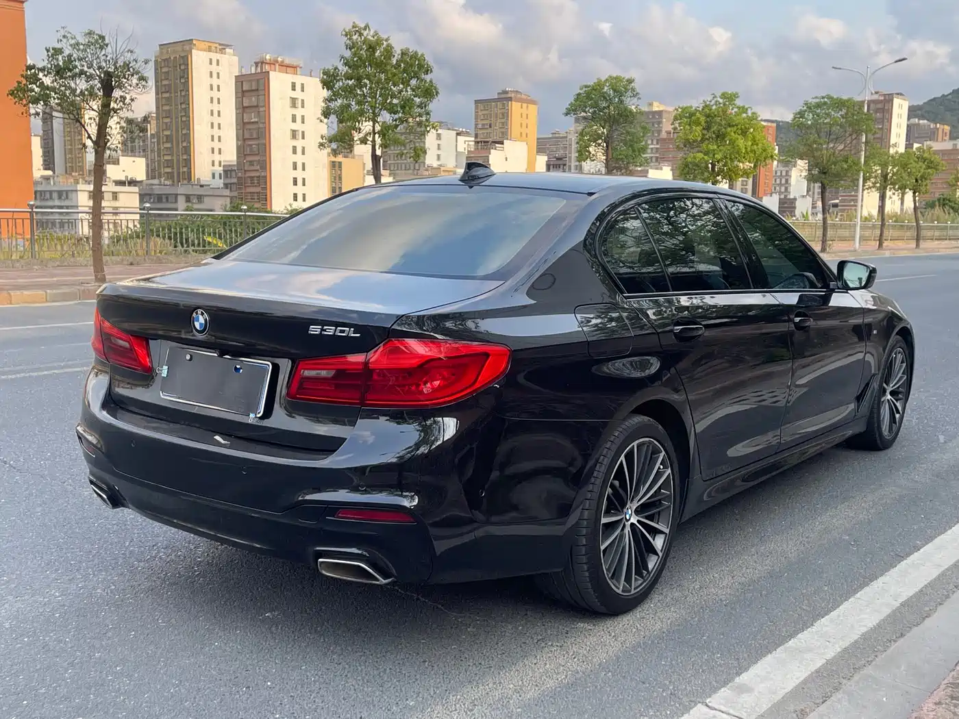 BMW 5 Series 2019 530Li Premium M Sport Package фото 7