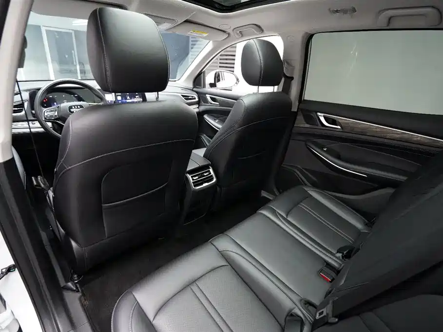 Landian E5 2024 2024 Glory Edition 100KM Ultimate Type 7-Seater