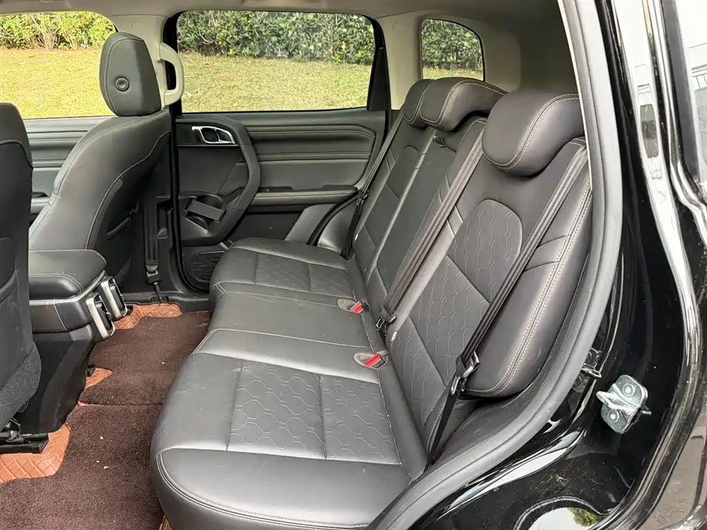 Haval Big Dog 2024 1.5T DCT Border Collie Edition фото 10