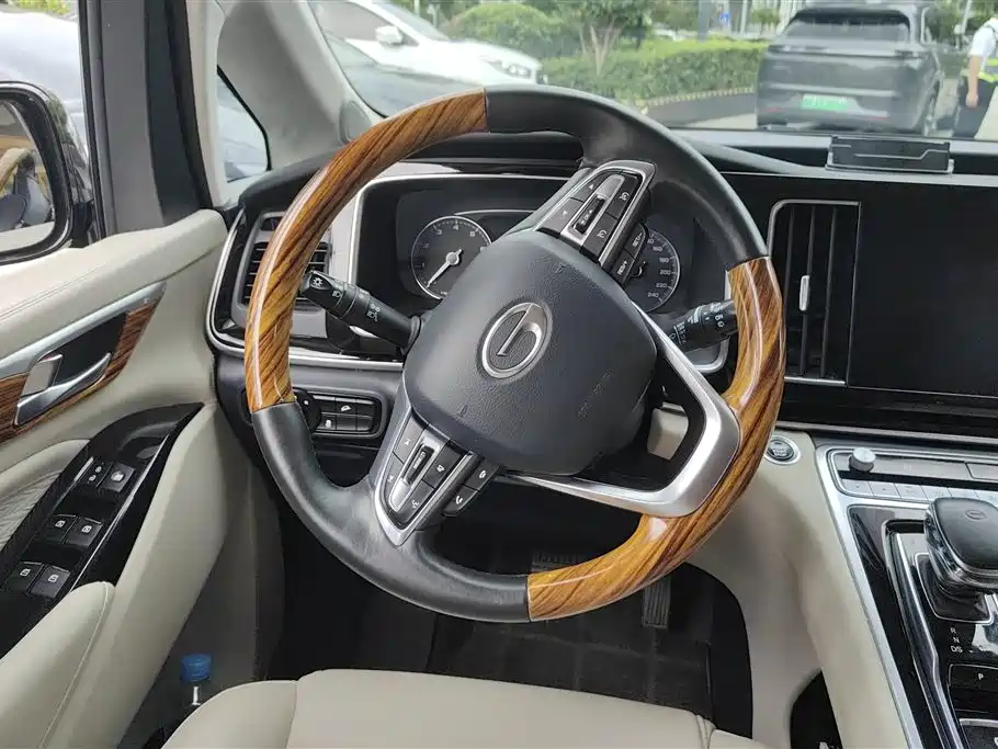 GAC Trumpchi Trumpchi M8 2023 Leading Series 390T Premium Edition фото 15