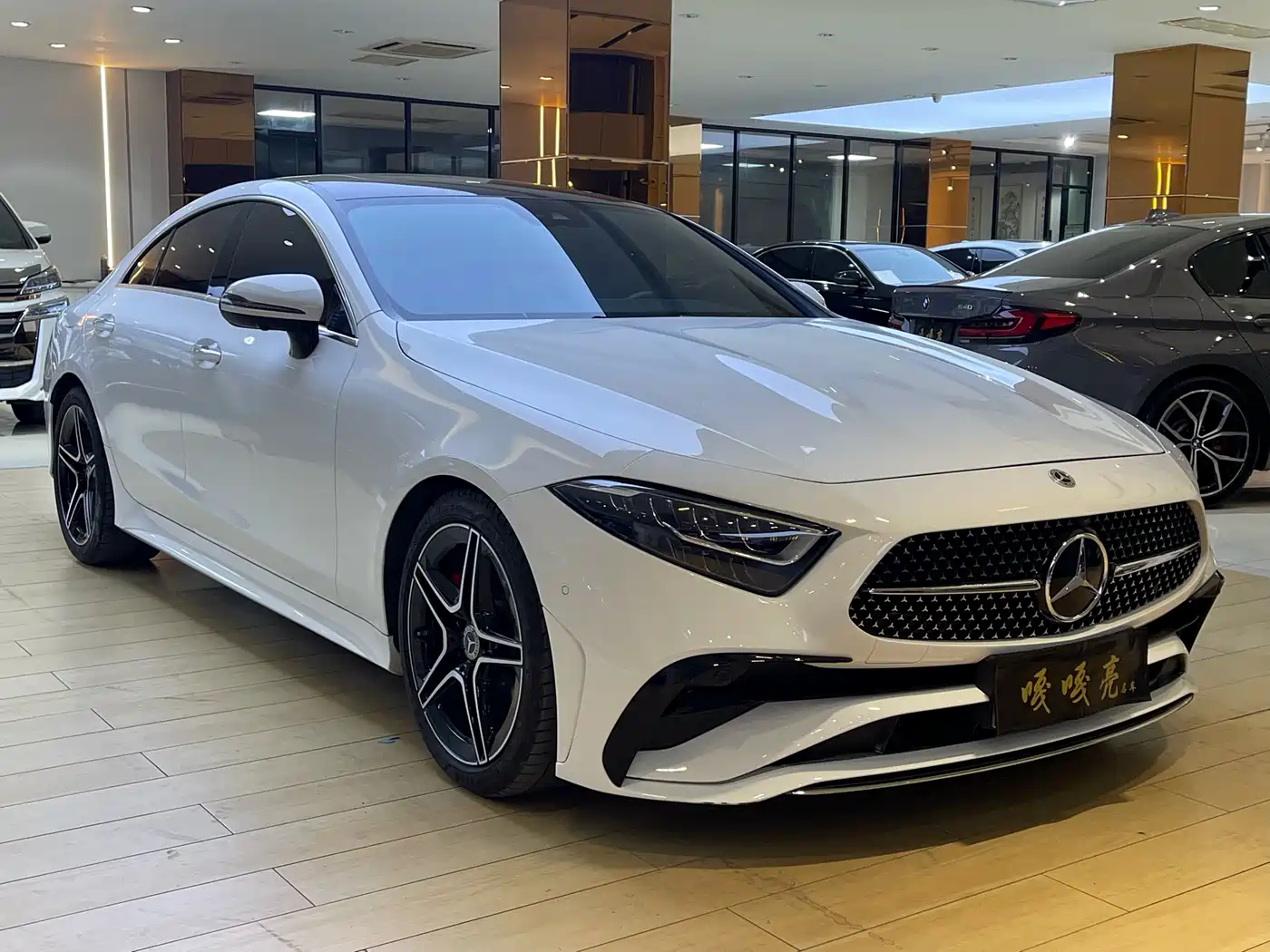 Mercedes-Benz CLS 2023 Model CLS 300 Luxury Version фото 3