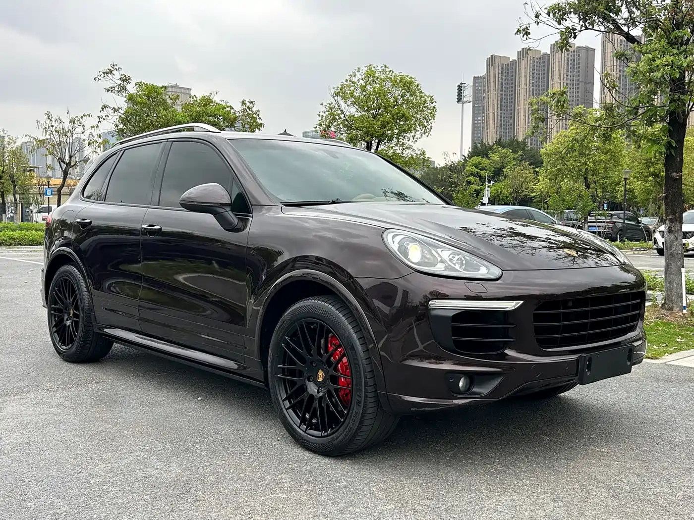 Porsche Cayenne 2016 Cayenne Platinum Edition 3.0T фото 3
