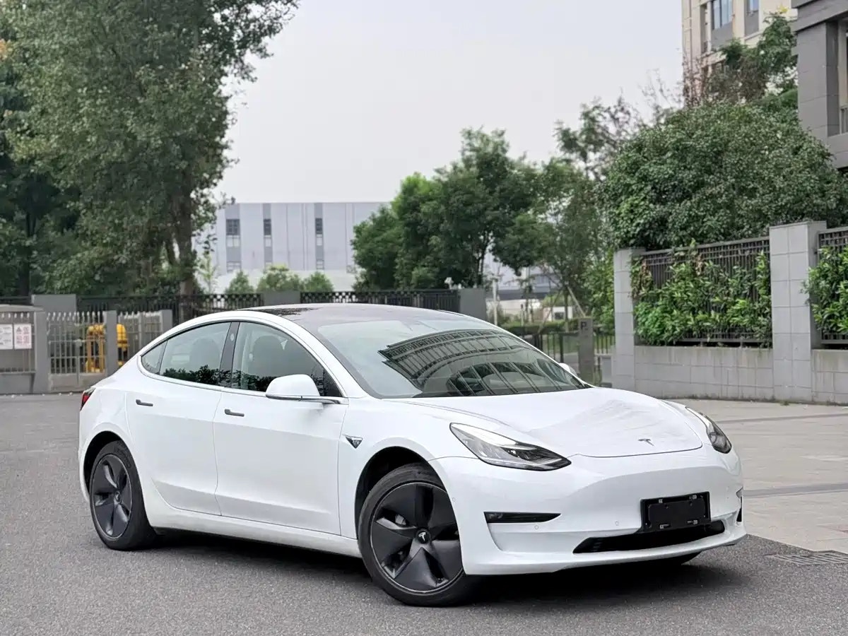 Tesla Model 3 (Import) 2019 2019 Long Range RWD Version