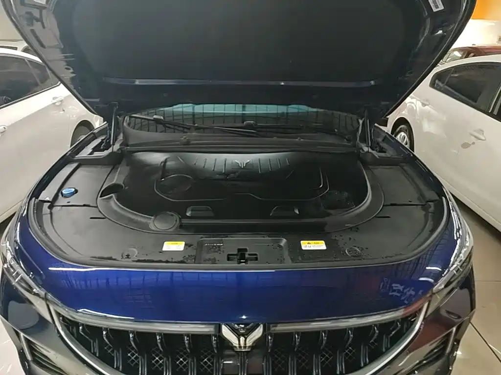Voyah Free 2021 2021 AWD Standard Range Extender Exclusive Luxury Package