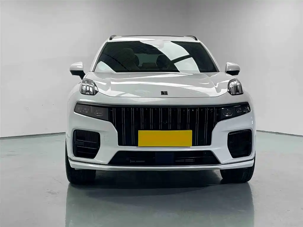 Lynk & Co 09 2021 2.0T Ultra 7-Seater фото 3