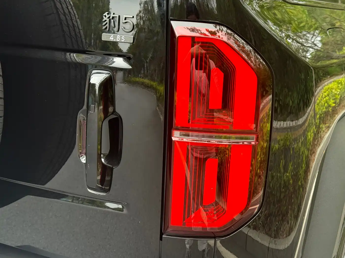 FANG CHENG BAO LEOPARD 5