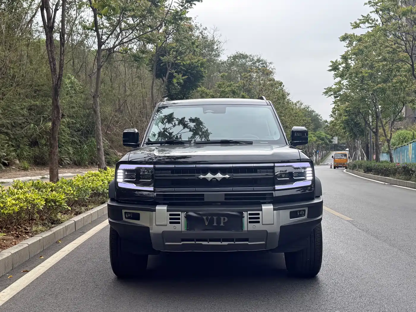 FANG CHENG BAO LEOPARD 5