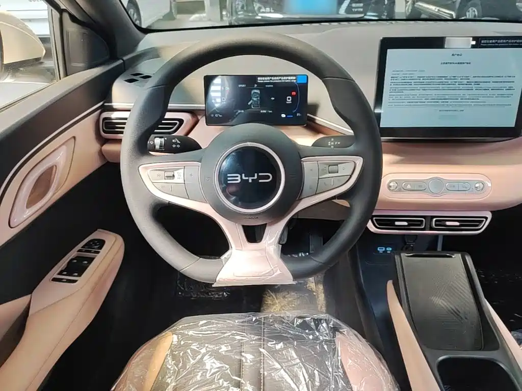 BYD Seagull 2026 2025 Smart Drive Edition 305km Vitality Version
