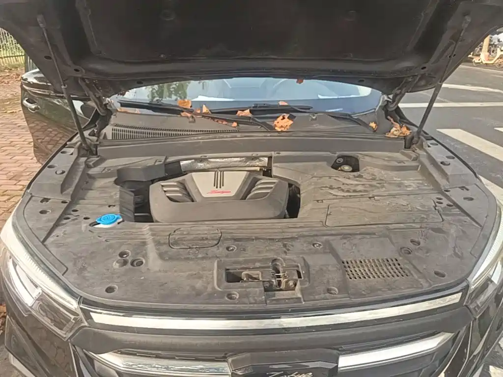 Photo 20 - Zotye T500