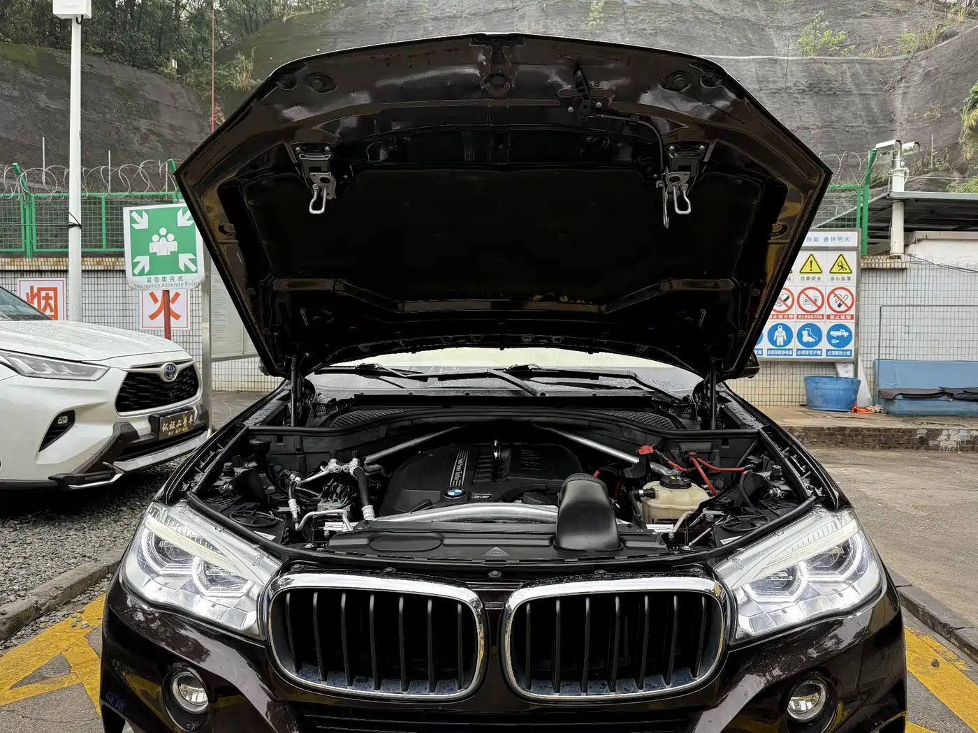 BMW X5 (Import) 2018 xDrive35i Elegant Model фото 18