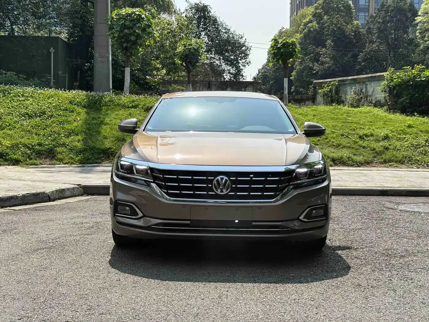 Volkswagen Passat 2019 330TSI Elite Version China VI фото 2