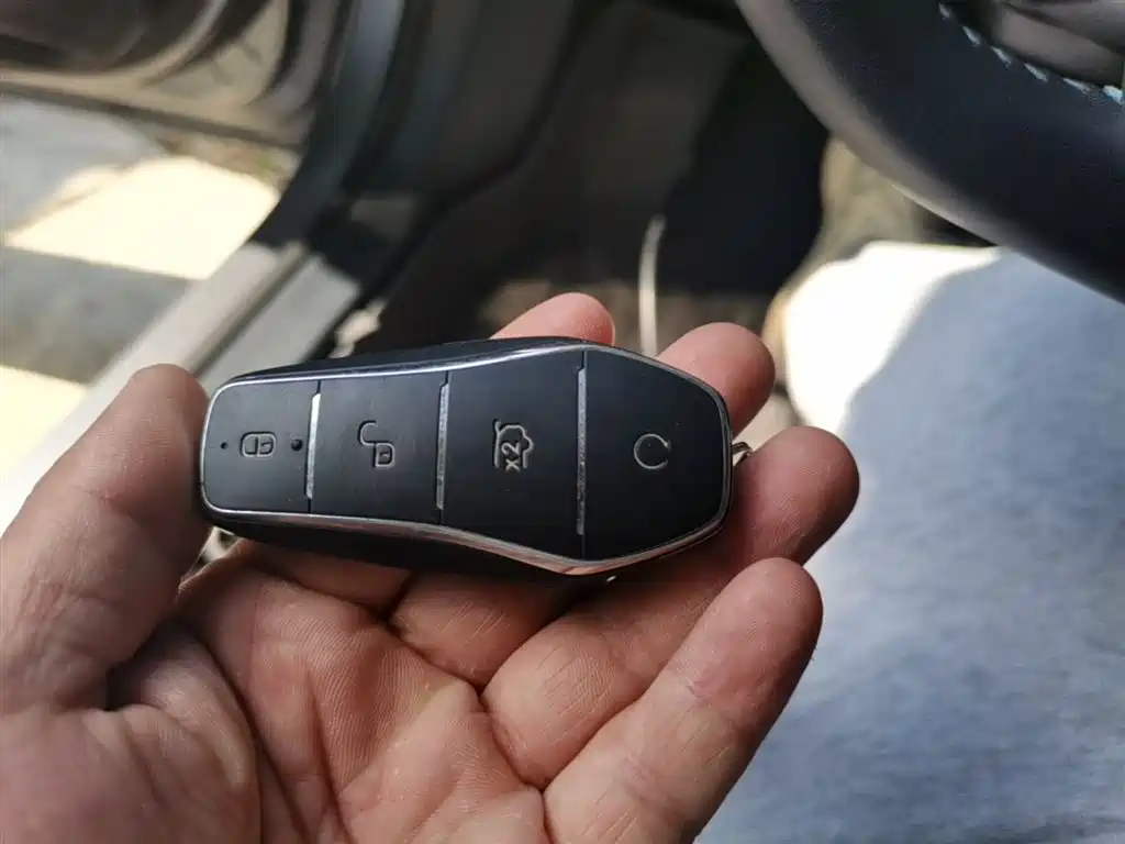 BYD Destroyer 05 2024 Glory Edition DM-i 55KM Luxury фото 9