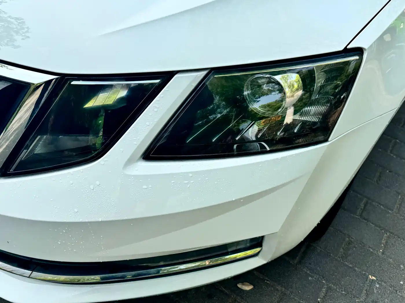 Škoda Octavia 2019 TSI230 DSG Smart Luxury Edition China V фото 4