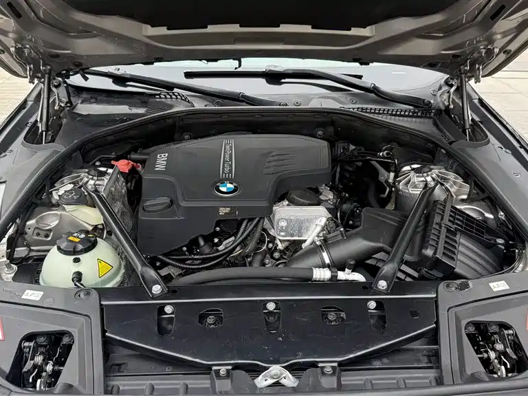 BMW 5 Series 2014 525Li Luxury Design Package фото 19