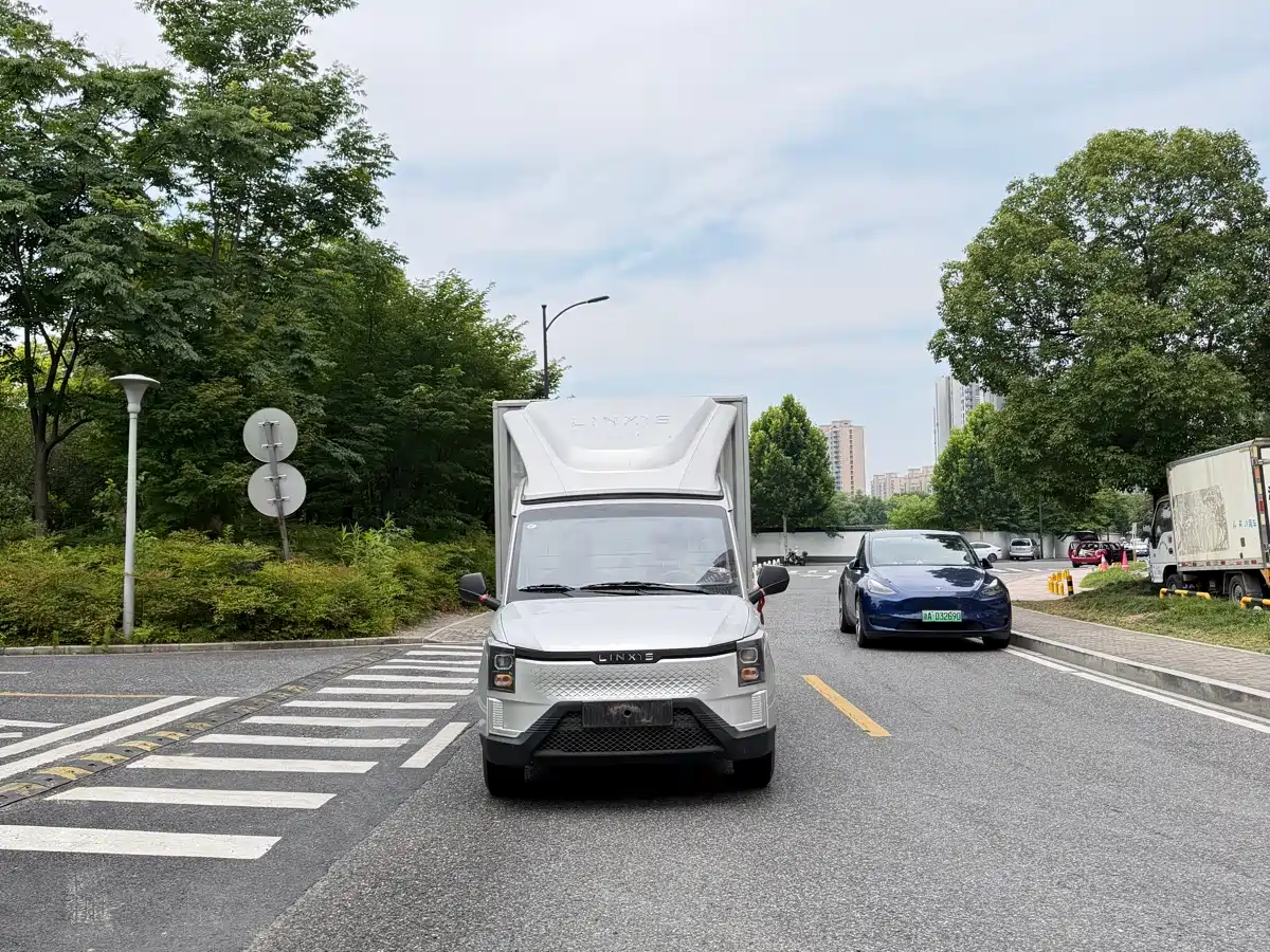 Lingshi Auto Ling Shi Golden Card 2025 2025 Pure Electric Version 260km Container Top Edition