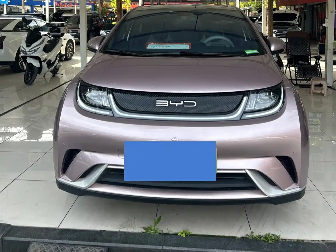 BYD Dolphin 2023 420km Fashion Edition фото 2