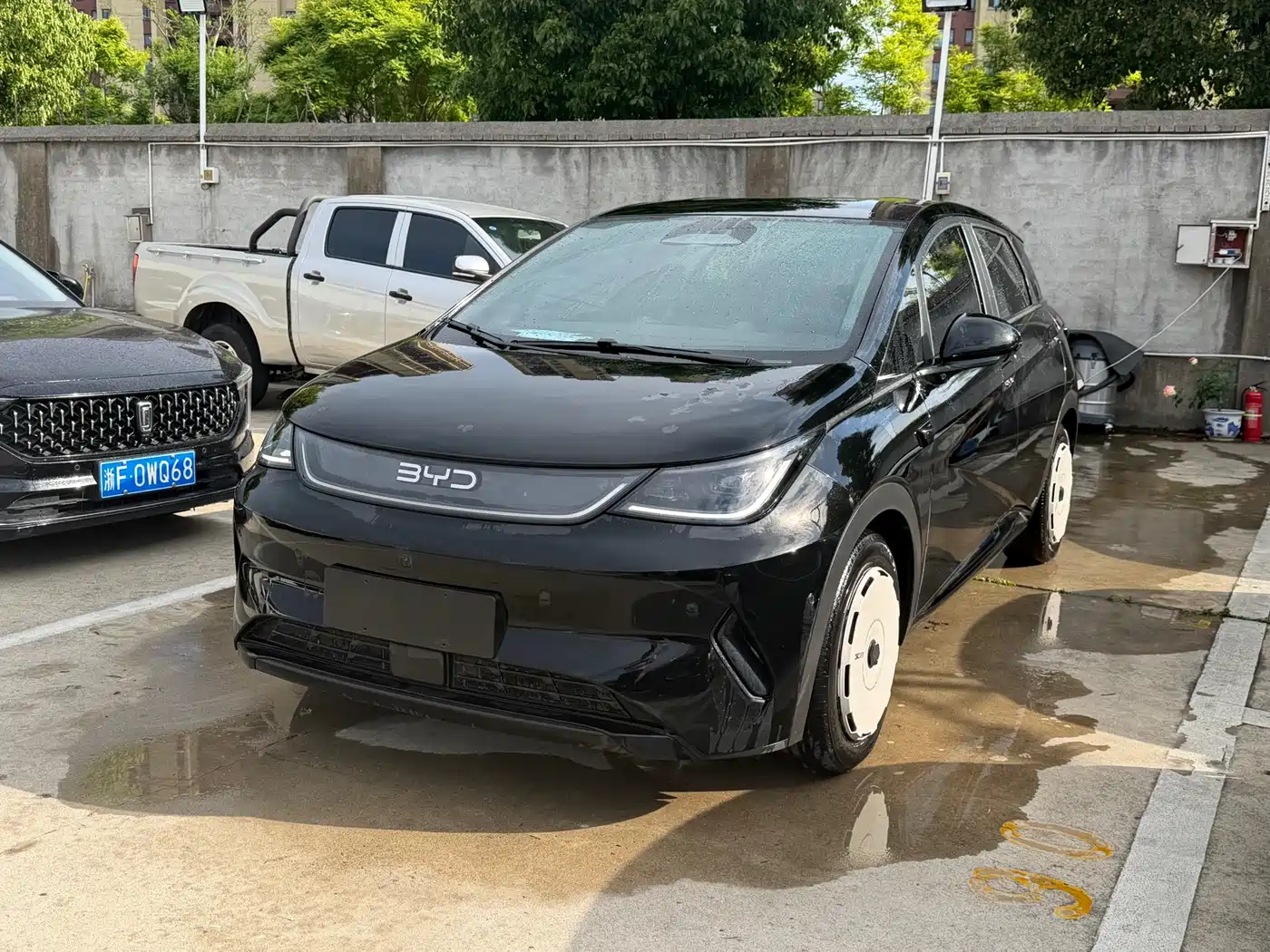 BYD Dolphin 2025 420km Freedom Edition фото 2