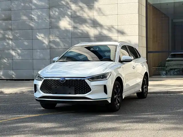 BYD e2 2021 Luxury Edition