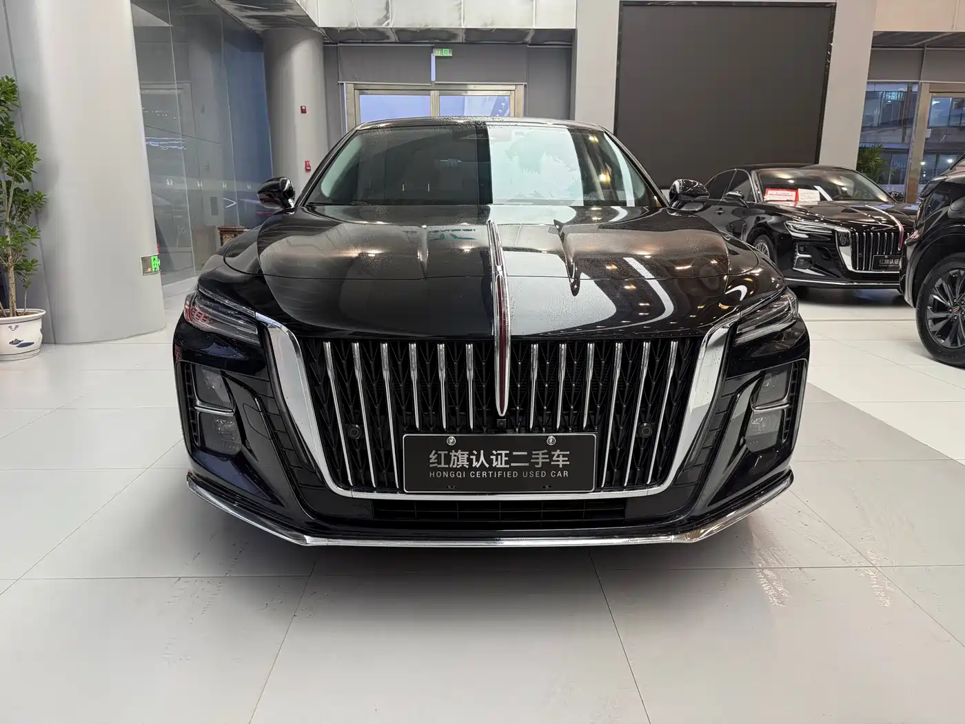 Hongqi H5 2024 2.0T Automatic Smart Connect Flag Smooth Edition фото 2