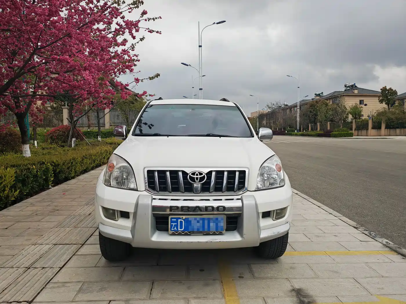 Toyota Prado (Import) 2010 2.7L Automatic Standard фото 2
