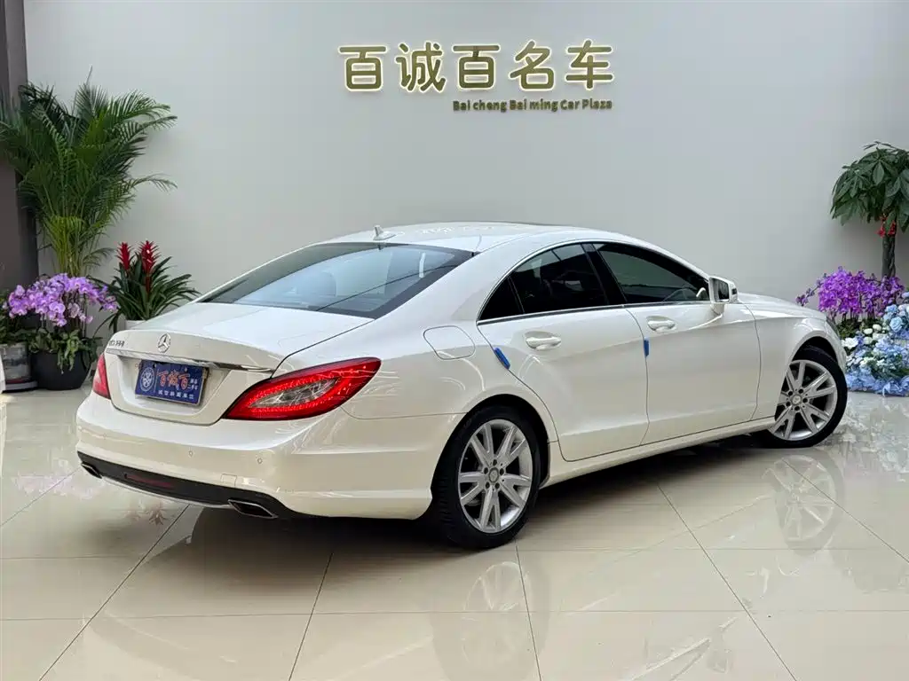Mercedes-Benz CLS 2012 CLS 300 CGI фото 5