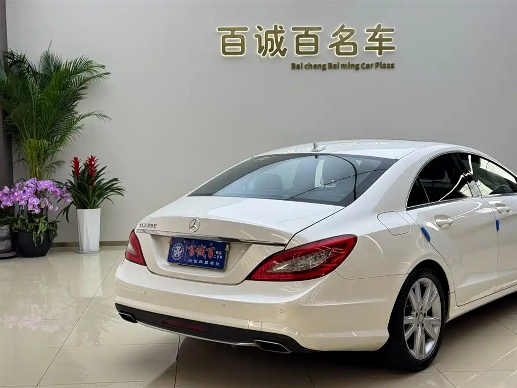 Mercedes-Benz CLS 2012 CLS 300 CGI фото 6